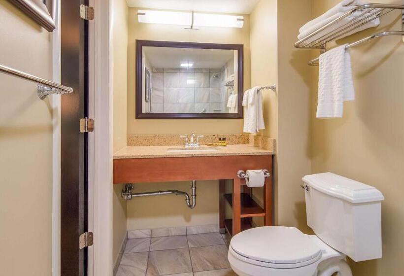 اتاق استاندارد, Best Western Plus Traverse City