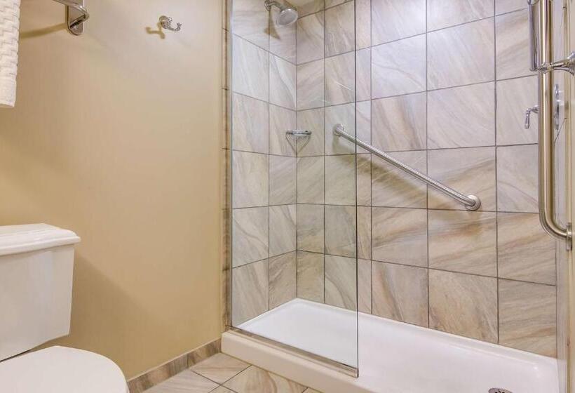 اتاق استاندارد, Best Western Plus Traverse City