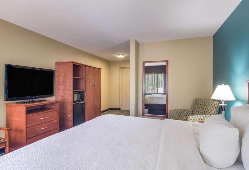 اتاق استاندارد با تخت بزرگ, Best Western Plus Traverse City