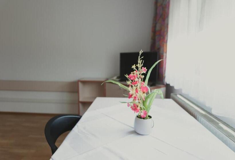اتاق استاندارد سه نفره, Sommerhotel Karwendel