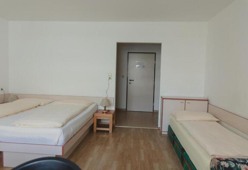 اتاق استاندارد سه نفره, Sommerhotel Karwendel