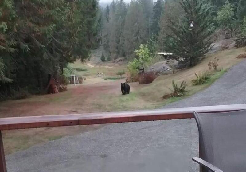 سوییت لوکس, Beaver Hut Bed And Breakfast