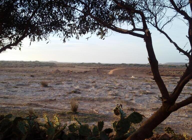 اتاق استاندارد با چشم‌انداز دریا, Golden Baibah
