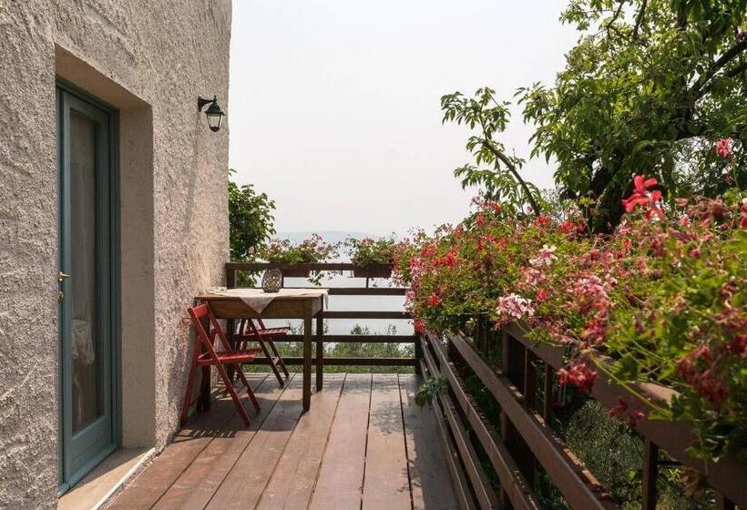 آپارتمان 1 خوابه با تراس, Agriturismo Conte Brunello