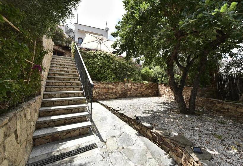 اتاق خانوادگی, Villa Minda Lodge & View