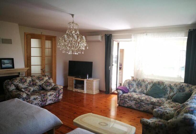 استودیوی استاندارد, Irena Family House