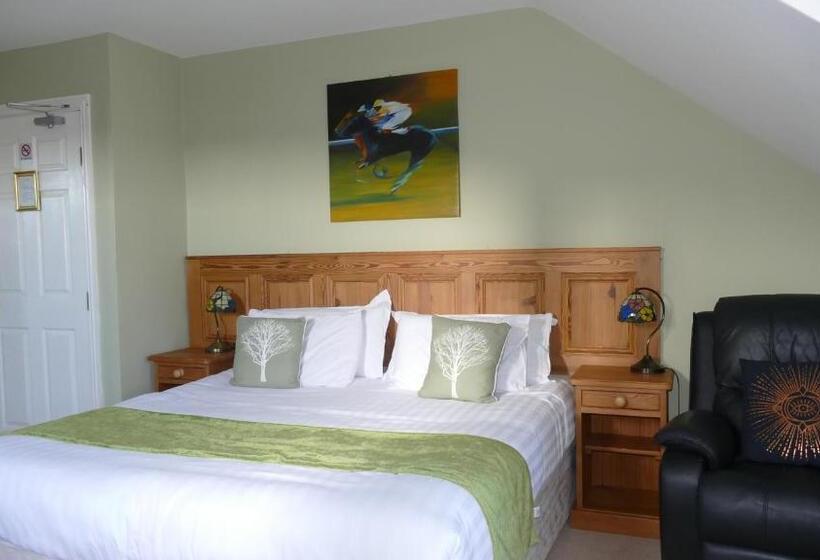 اتاق سوپریور با تخت بزرگ, Avonmore House   Room Only Accommodation
