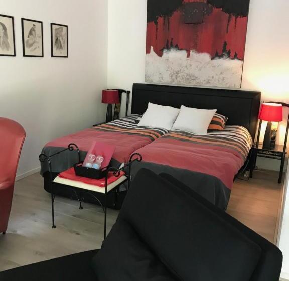 اتاق استاندارد با تراس, Villa  T Haasduin