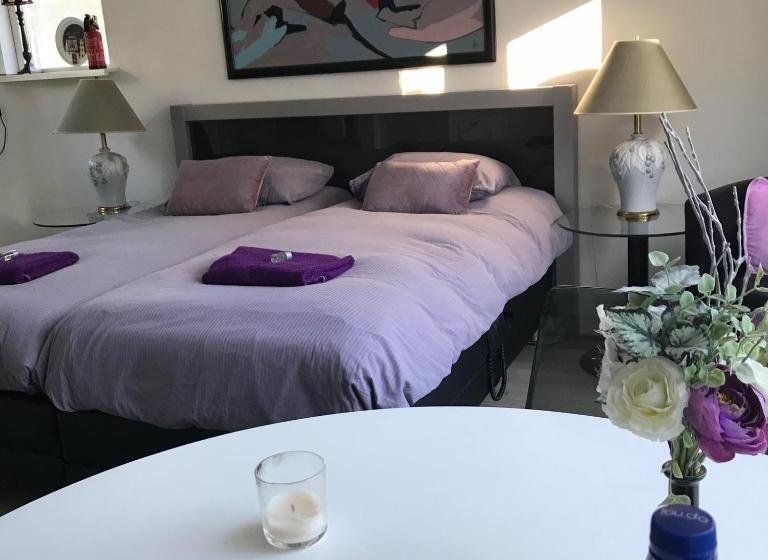 استودیو استاندارد با تراس, Villa  T Haasduin
