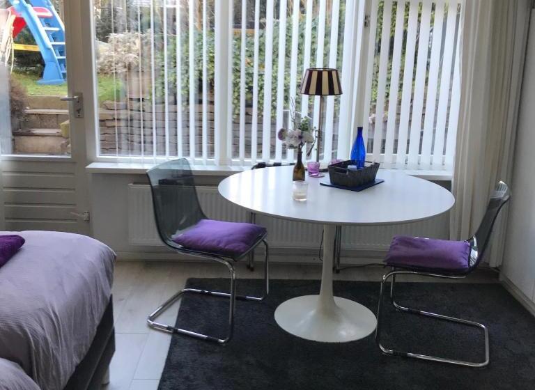 استودیو استاندارد با تراس, Villa  T Haasduin