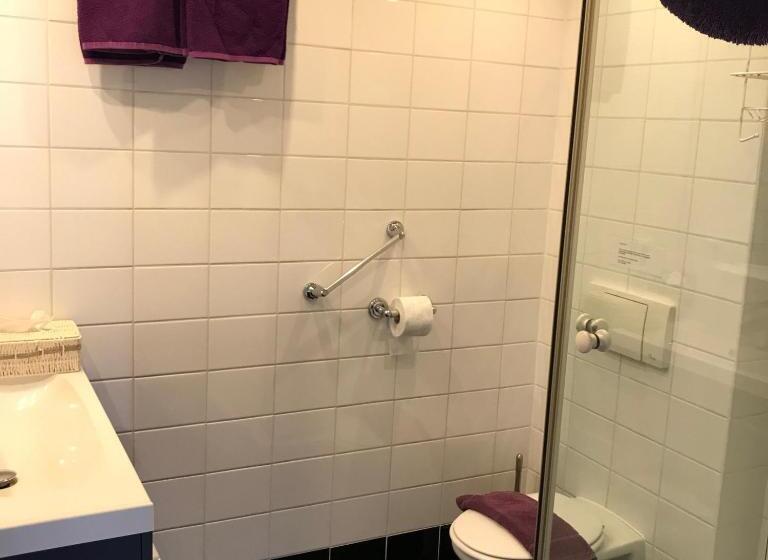 استودیو استاندارد با تراس, Villa  T Haasduin