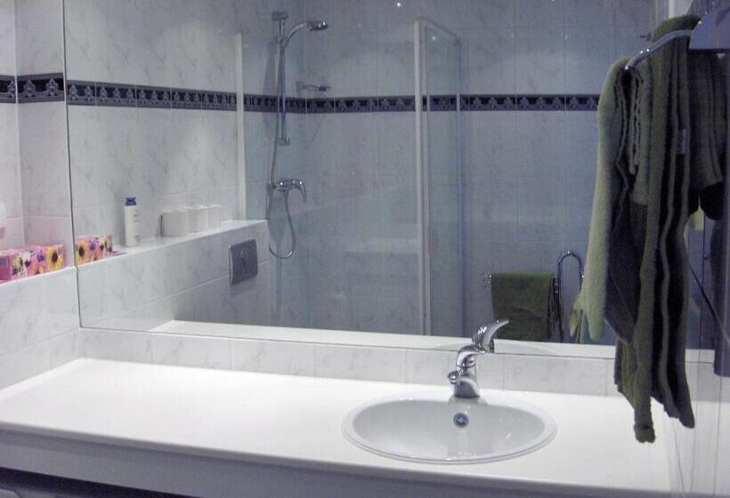 اتاق سوپریور با تخت بزرگ, Villa  T Haasduin
