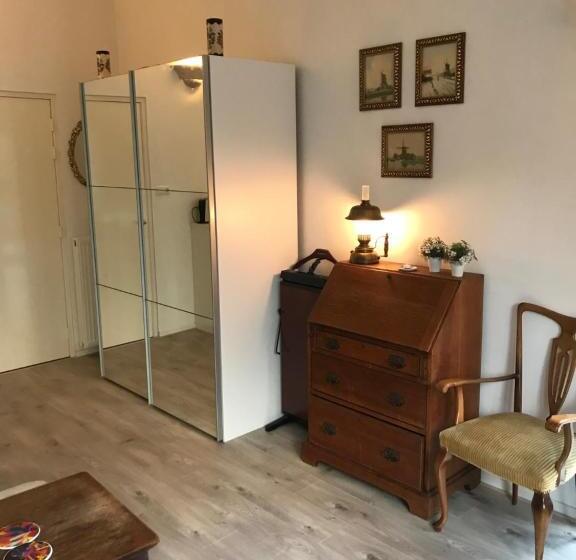 اتاق سوپریور با تخت بزرگ, Villa  T Haasduin