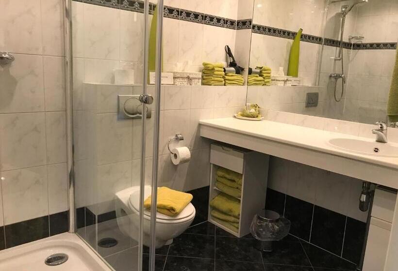 اتاق سوپریور با تخت بزرگ, Villa  T Haasduin