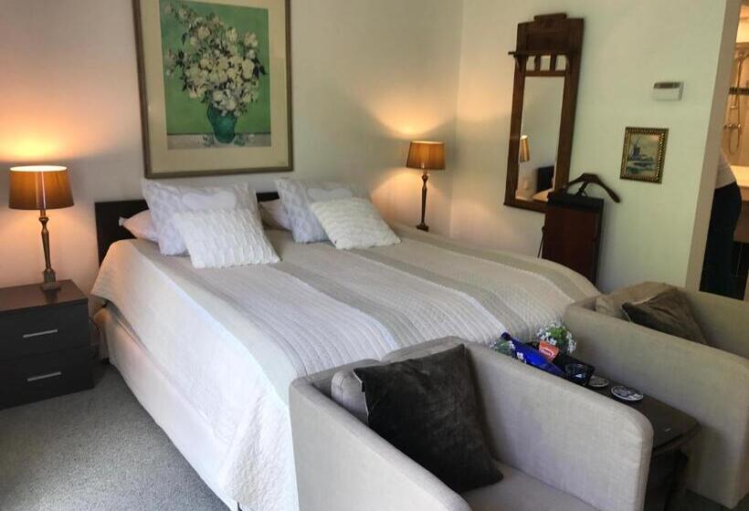 اتاق سوپریور با تخت بزرگ, Villa  T Haasduin