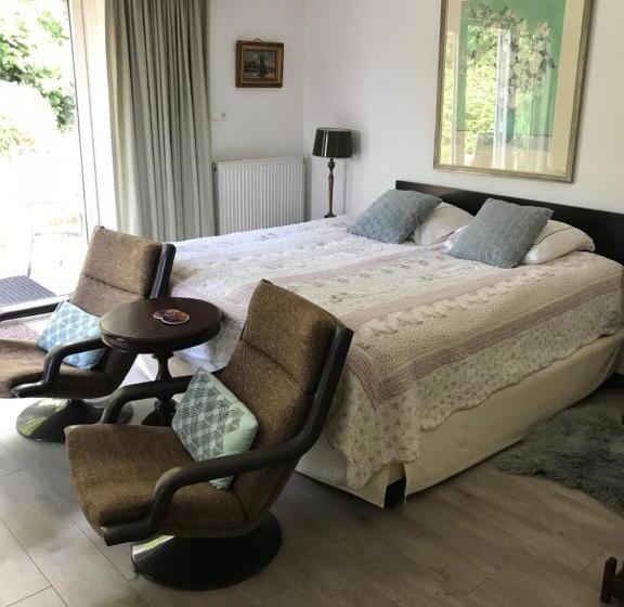 اتاق سوپریور با تخت بزرگ, Villa  T Haasduin