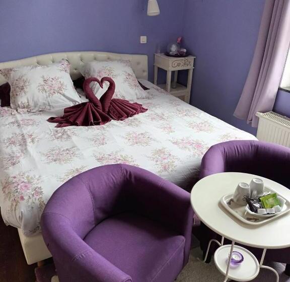 اتاق سوپریور, B&b Chatelet Cremers