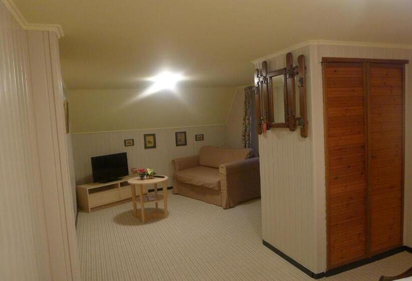اتاق استاندارد, B&b De Kleine Wijngaard