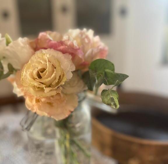 آپارتمان 1 خوابه با تراس, La Magara