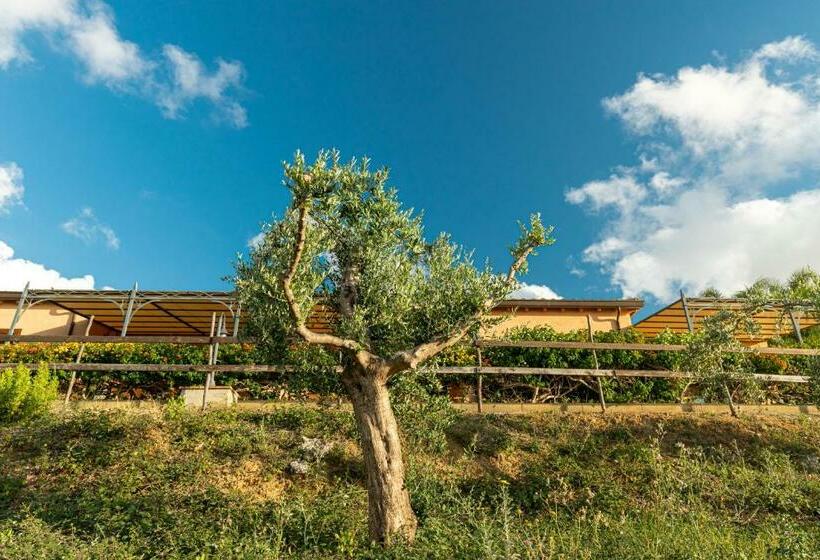 استودیوی استاندارد, Solemar Sicilia   Le Casette Di Calzata