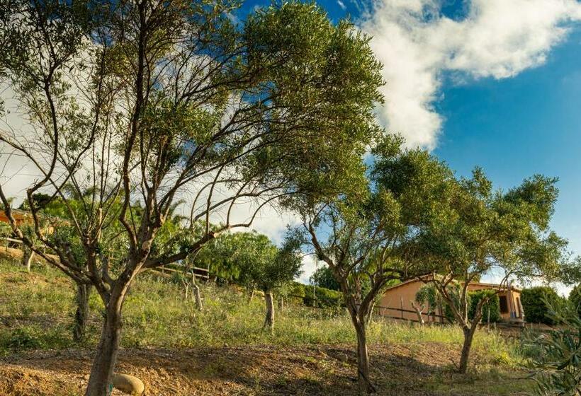 استودیوی استاندارد, Solemar Sicilia   Le Casette Di Calzata