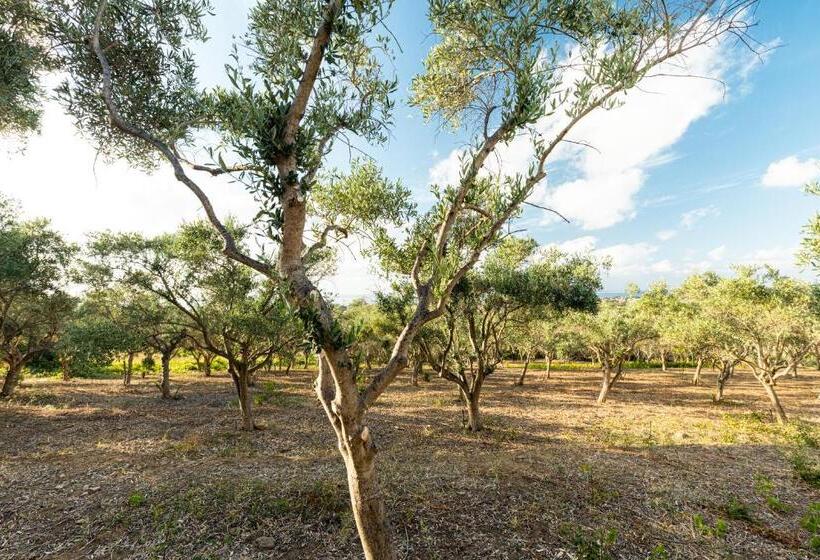 خانه 1 خوابه, Solemar Sicilia   Le Casette Di Calzata