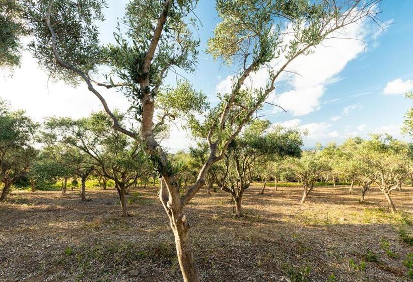 اتاق خانوادگی با چشم‌انداز دریا, Solemar Sicilia   Casette Di Calzata