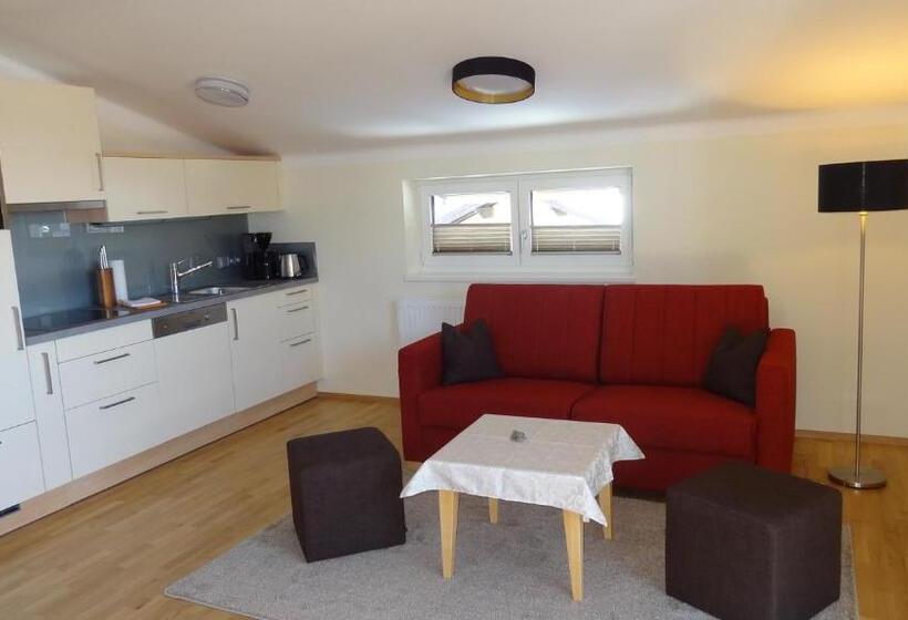 آپارتمان 1 خوابه با چشم‌انداز, Appartements Gassner