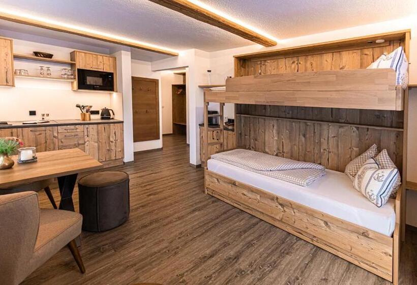 آپارتمان 1 خوابه با چشم‌انداز, Gästehaus Fellner