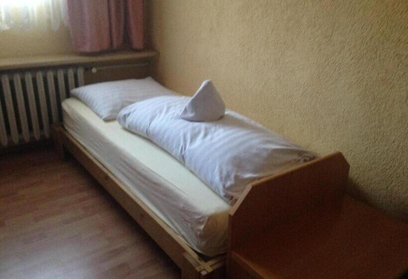 اتاق استاندارد یک نفره, Hostel Im Osterzgebirge