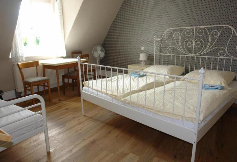 اتاق استاندارد, Lotte  The Backpackers