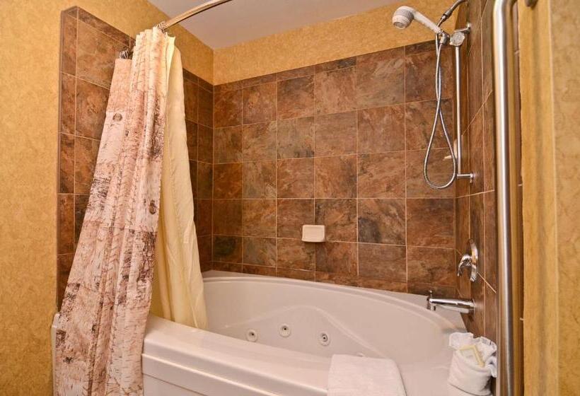 キングサイズベッドのスタンダードルーム, Best Western Plus Kelly Inn And Suites