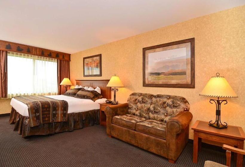 Standard Room King Size Bed, Best Western Plus Kelly Inn And Suites