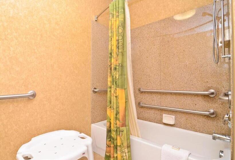 身障者適用スタンダードルーム, Best Western Plus Kelly Inn And Suites