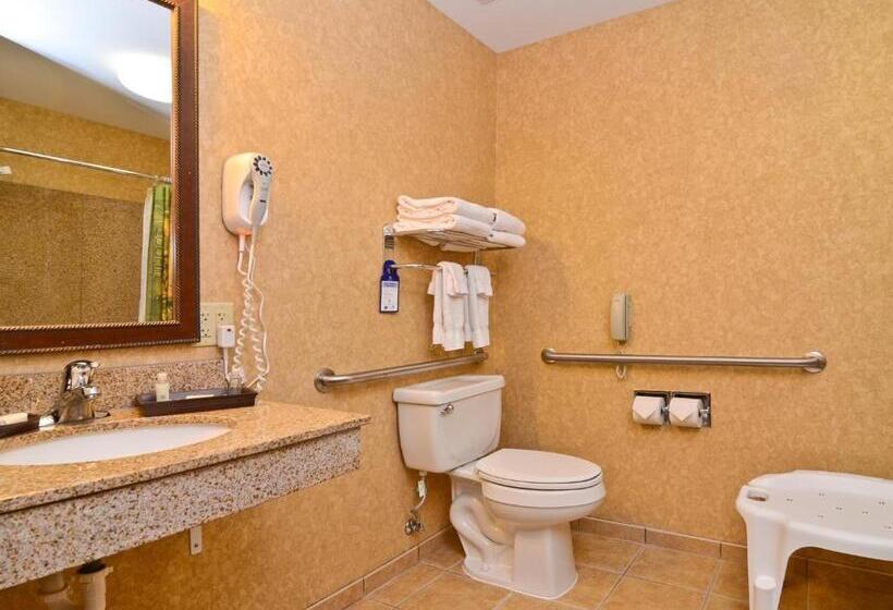 身障者適用キングサイズベッドルーム, Best Western Plus Kelly Inn And Suites