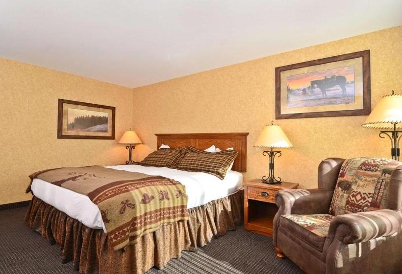 身障者適用キングサイズベッドルーム, Best Western Plus Kelly Inn And Suites