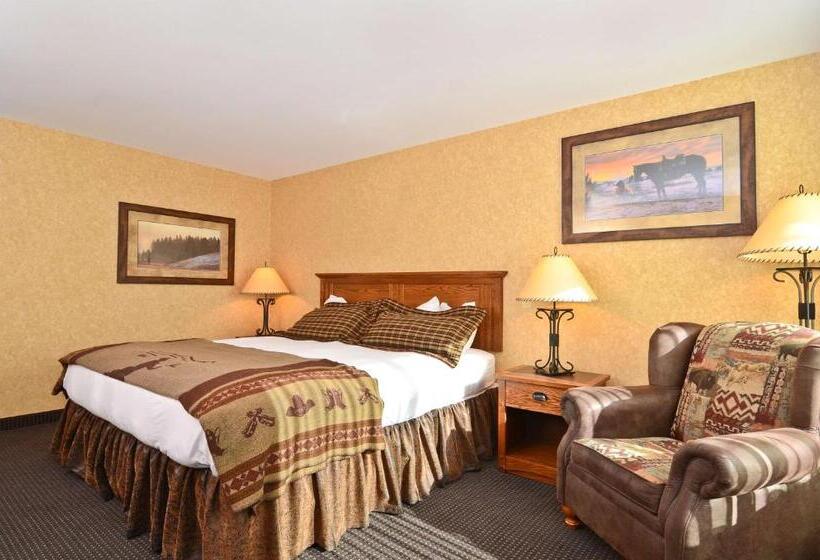 Standard Room King Bed Adapted for people with reduced mobility, Best Western Plus Kelly Inn And Suites