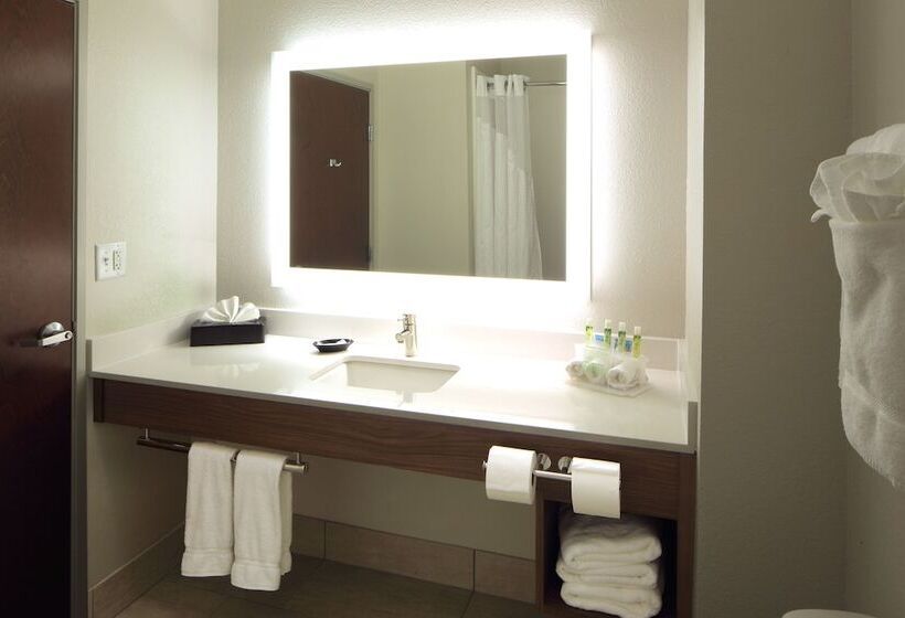 Suite, Holiday Inn Express  & Suites Atlanta Airport West  Camp Creek