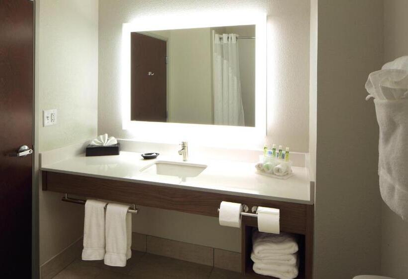 اتاق استاندارد, Holiday Inn Express Hotel & Suites Atlanta Airport West   Camp Creek, An Ihg
