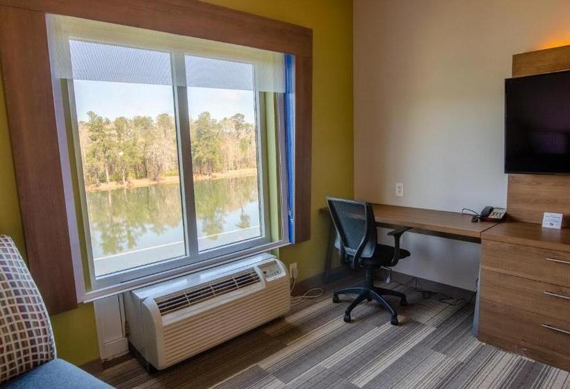اتاق استاندارد, Holiday Inn Express Hotel & Suites Atlanta Airport West   Camp Creek, An Ihg