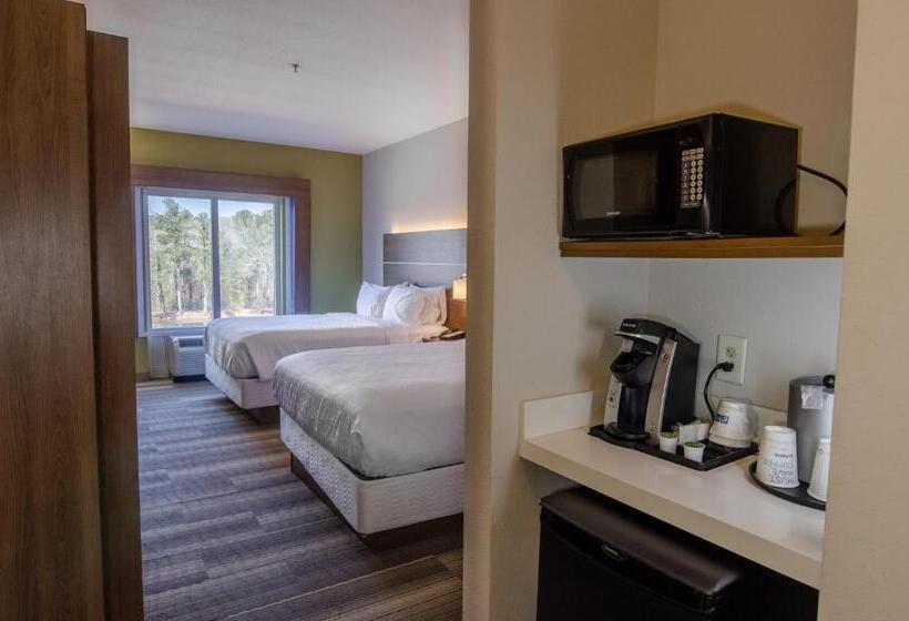 اتاق استاندارد, Holiday Inn Express Hotel & Suites Atlanta Airport West   Camp Creek, An Ihg