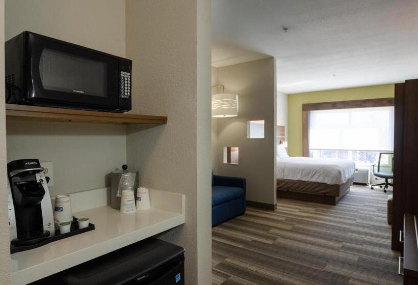 سوئیت با تخت بزرگ, Holiday Inn Express Hotel & Suites Atlanta Airport West   Camp Creek, An Ihg
