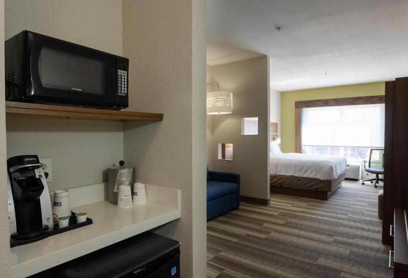 سوئیت با تخت بزرگ, Holiday Inn Express  & Suites Atlanta Airport West  Camp Creek