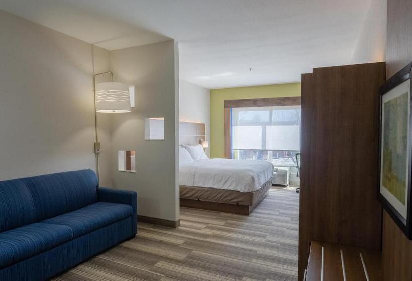 Suite Lit King, Holiday Inn Express  & Suites Atlanta Airport West  Camp Creek