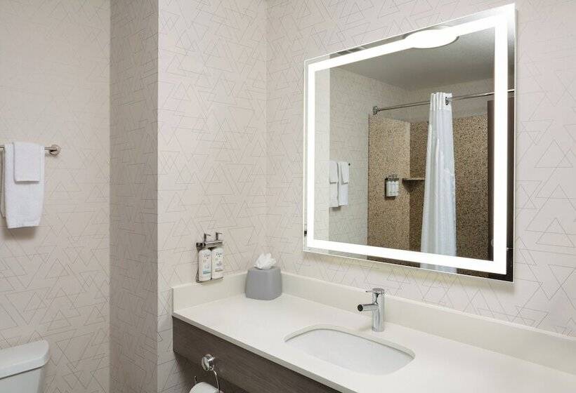 سوییت, Holiday Inn Express Hotel & Suites Cherry Hills, An Ihg