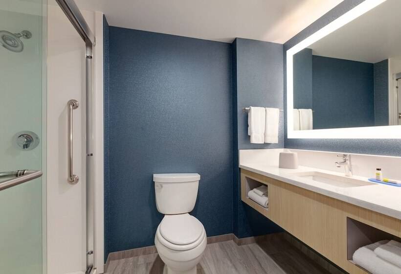 اتاق استاندارد, Holiday Inn Express Hotel & Suites Norfolk Airport, An Ihg