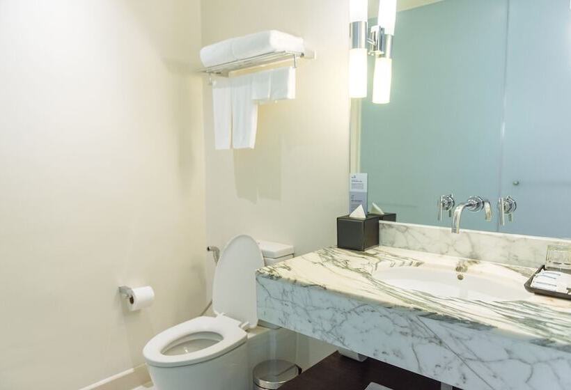 اتاق استاندارد, Holiday Inn Express Bangkok Siam, An Ihg