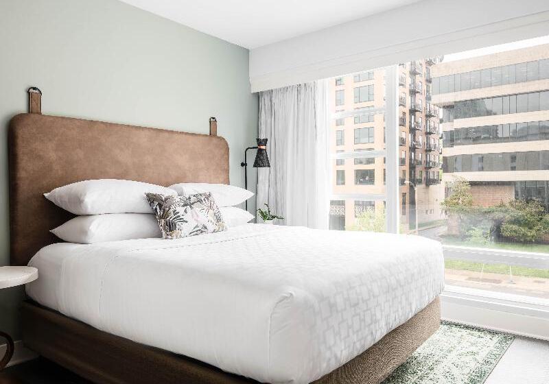 اتاق اجرایی با تخت بزرگ, Holiday Inn Express St. Louis Central West End, An Ihg