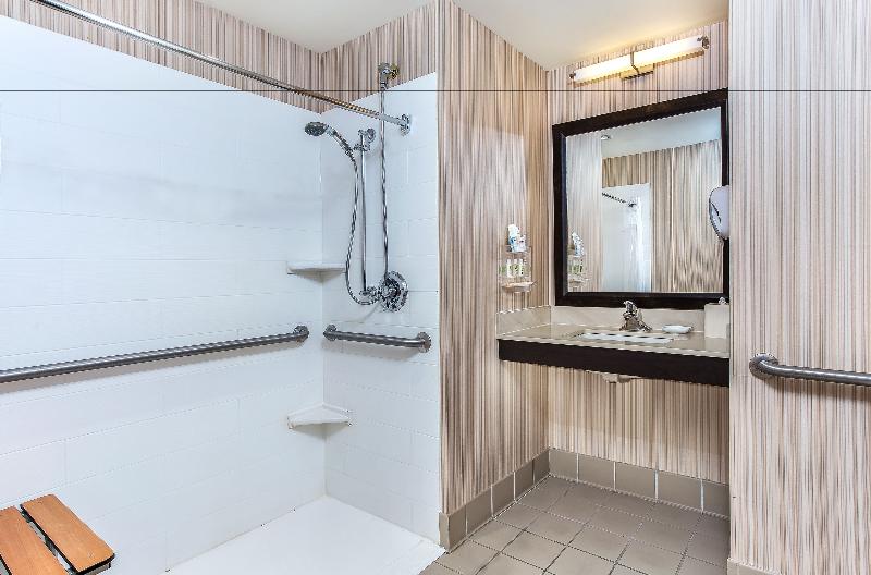 اتاق استاندارد با تخت بزرگ, Holiday Inn Louisville Airport   Fair/expo, An Ihg
