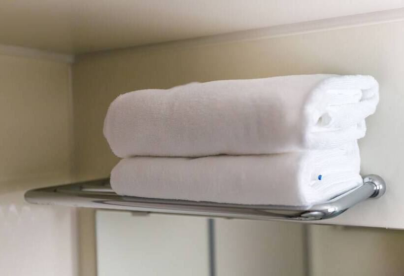 اتاق استاندارد یک نفره, Jr West Group Via Inn Hiroshima Kanayamacho